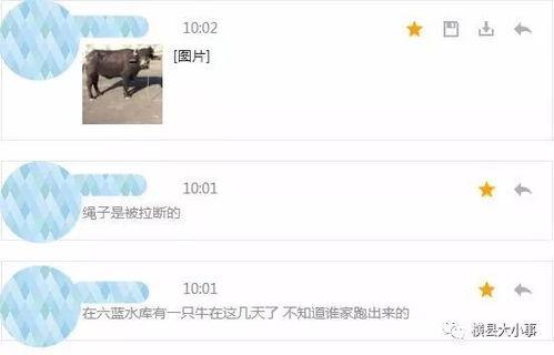 牛不啦最新爆料内容,娱乐圈最新爆料内容大起底  第3张